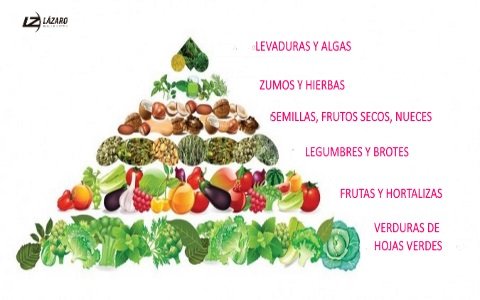 Que significa ser vegano y vegetariano