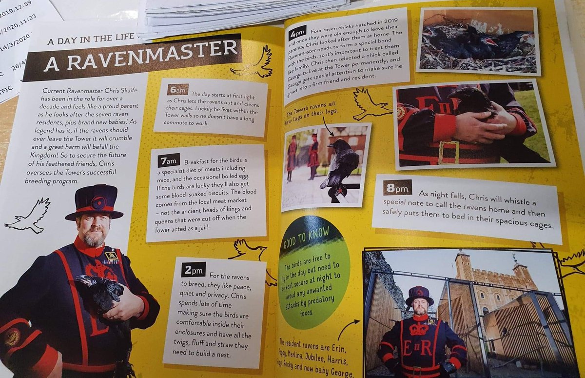 Alison00042's tweet photo. @ravenmaster1 officially has one of the World's Coolest Jobs, according to a book found at my Mums library.   I would agree with that! https://t.co/XOaYnjbt7g