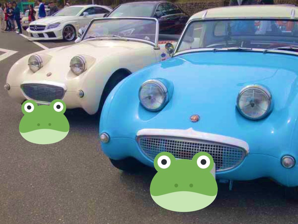 カニ目 カニ目