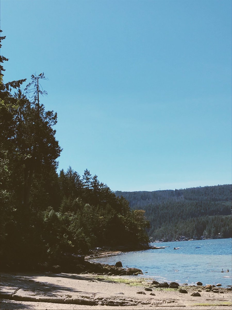 thetillapp's tweet photo. Eagle spirit 🦅 Follow your bliss, listen to your soul and opportunities will begin to unfold ✨ Lastly, Stay wild #charlfordhouse #befree #till
https://t.co/YN4DZBfGLG https://t.co/DZ8zzkbTyO