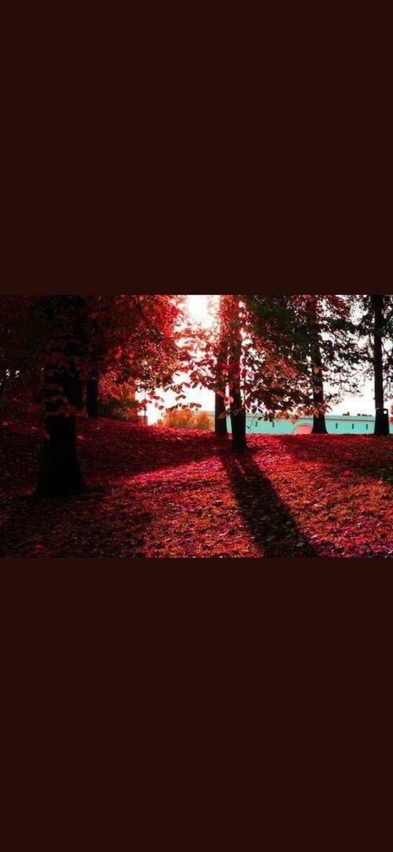 kin_305's tweet photo. #ليله_27 كم هو جميل أن تبتسم الى شخص حزين فيبتسم لك💗 اللهم ازرقنا ليله القدر واشفي كل مريض وسددد عن كل معسر ::: https://t.co/7lHjOpH792
