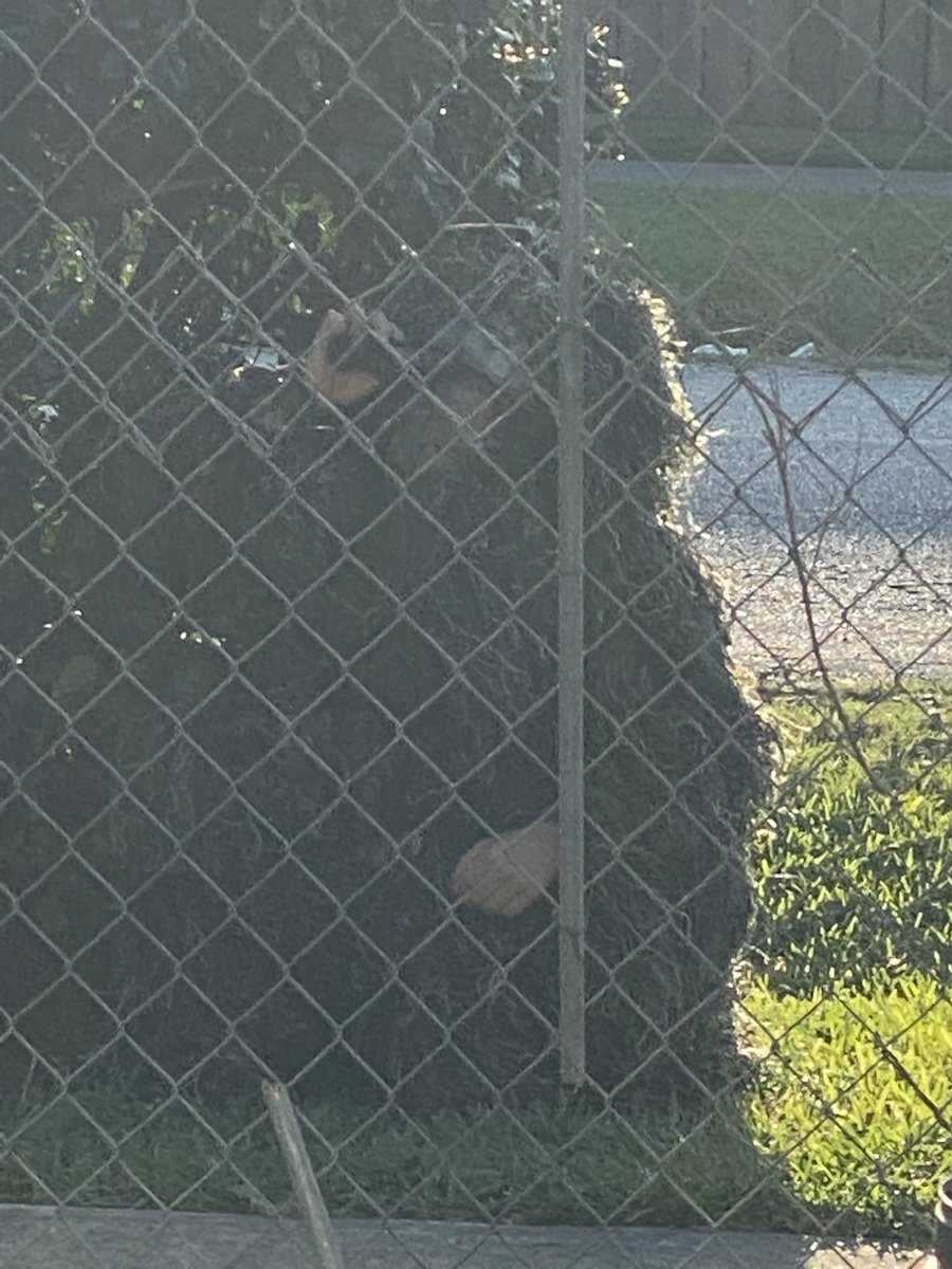 MarcusG_713's tweet photo. Now time to catch this bitch boy that’s been stealing my packages https://t.co/KQgRwEK6wp