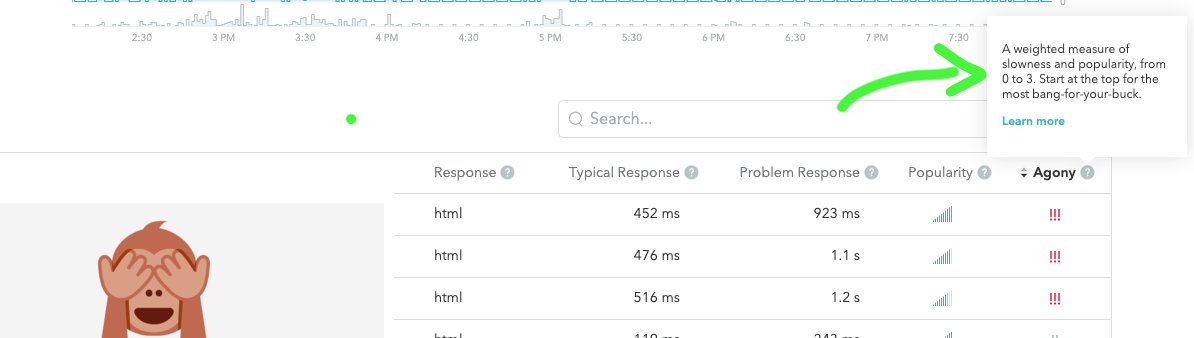 I use those two gems for catching performance issues early as much as possible. Lately have been using skylight.io for monitoring performance metrics.

I love that it ranks things by "Agony" (slowness x usage) so I can spend my time improving things that impact users