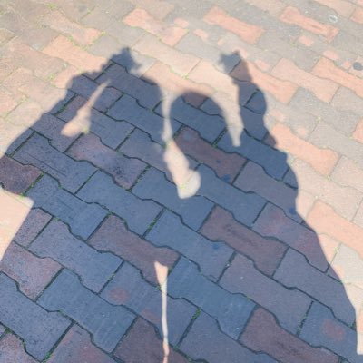 Nodo_222's tweet photo. #新しいプロフィール画像 https://t.co/H5Nx3kvqZw