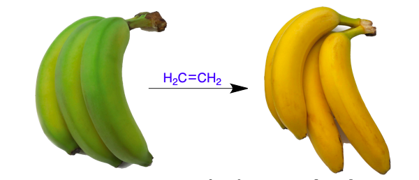 Samir Rezgui tweet media