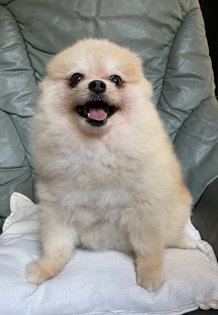 rjcsantos's tweet image. #FreeMassTestingNowPH #freemasstestingnow #MassTestingNowPH