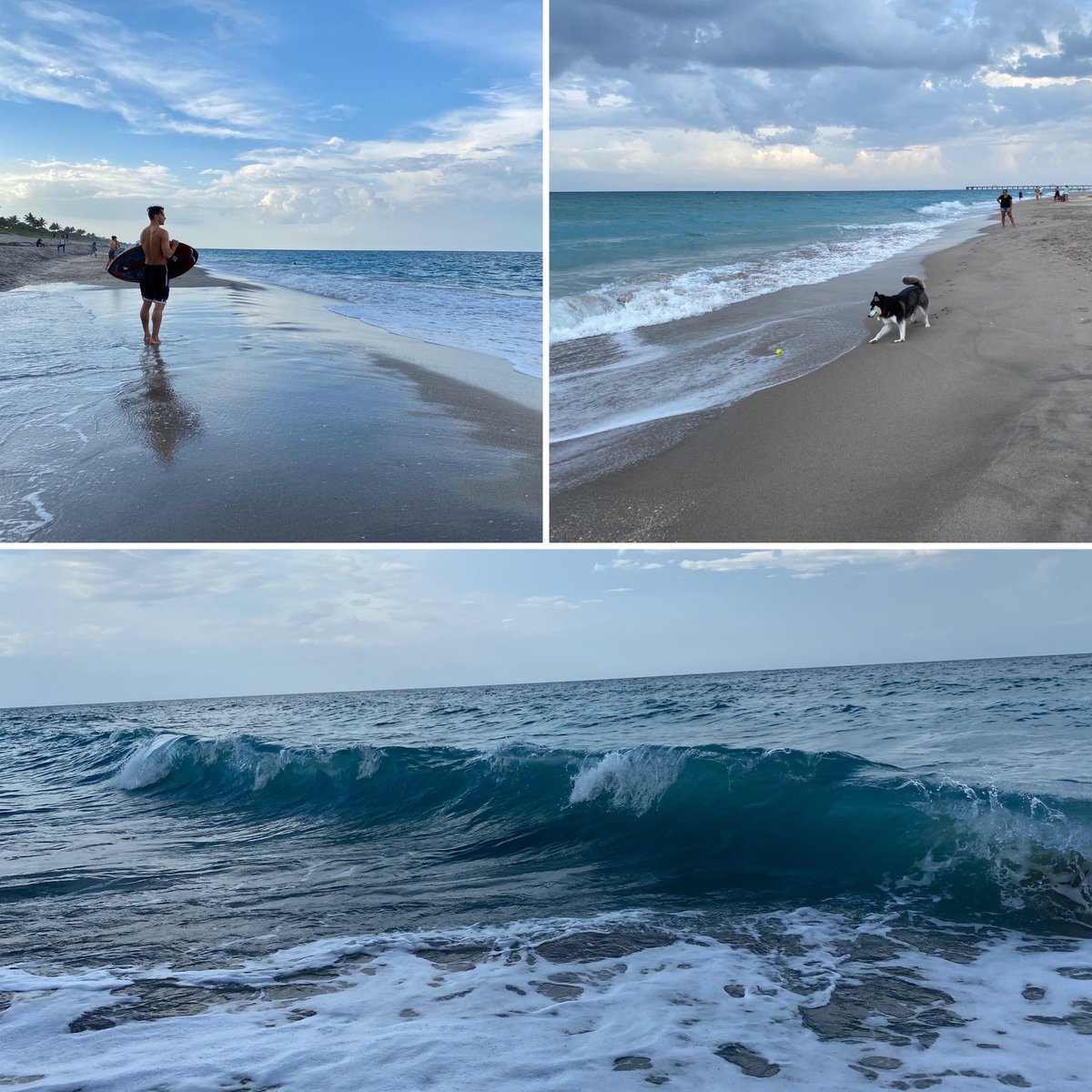 mauranolan's tweet photo. #sky #sea #sand #beachopen #blue #surf #dogs #juno #jupiterlife #florida https://t.co/ESuhu3M8ZF