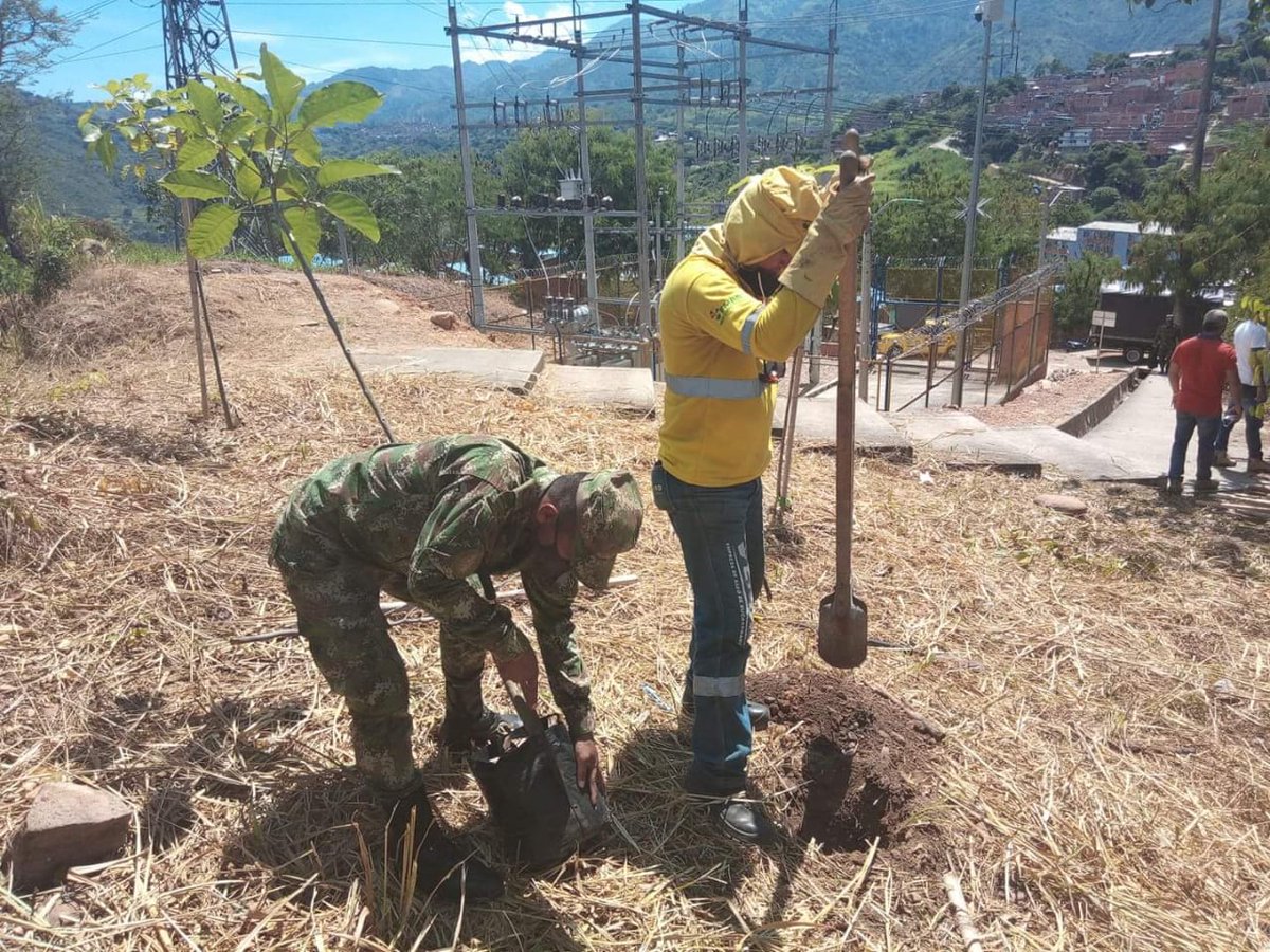 Ingenieros_EJC's tweet photo. El #BASPC5 en apoyo Acción Integral @COL_EJERCITO, en coordinación con @AlcaldiaBGA, Secretaría de Ambiente, realizó la siembra de 200 árboles de diferentes especies en el sector de Betania, norte de #Bucaramanga con el fin de contribuir al cuidado de las fuentes hídricas. https://t.co/I8hNT3zzD5