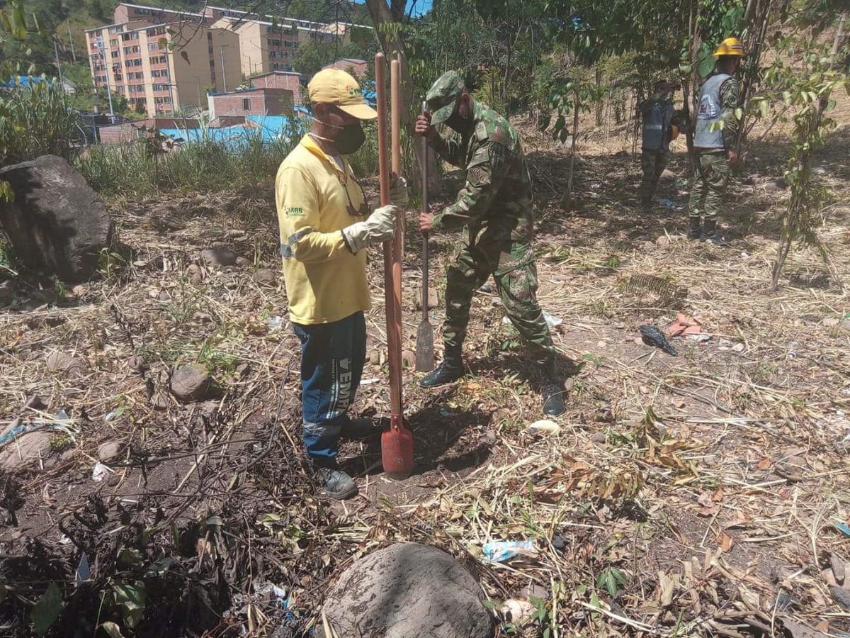 Ingenieros_EJC's tweet photo. El #BASPC5 en apoyo Acción Integral @COL_EJERCITO, en coordinación con @AlcaldiaBGA, Secretaría de Ambiente, realizó la siembra de 200 árboles de diferentes especies en el sector de Betania, norte de #Bucaramanga con el fin de contribuir al cuidado de las fuentes hídricas. https://t.co/I8hNT3zzD5