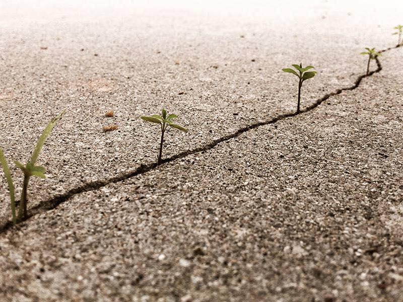 كانت كل الأبواب مغلقة، حتى أمر الله 🌿