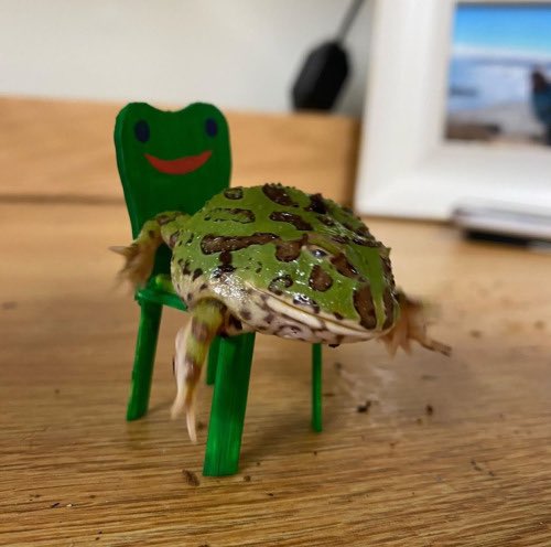 FlochFroggy chair but make it electric