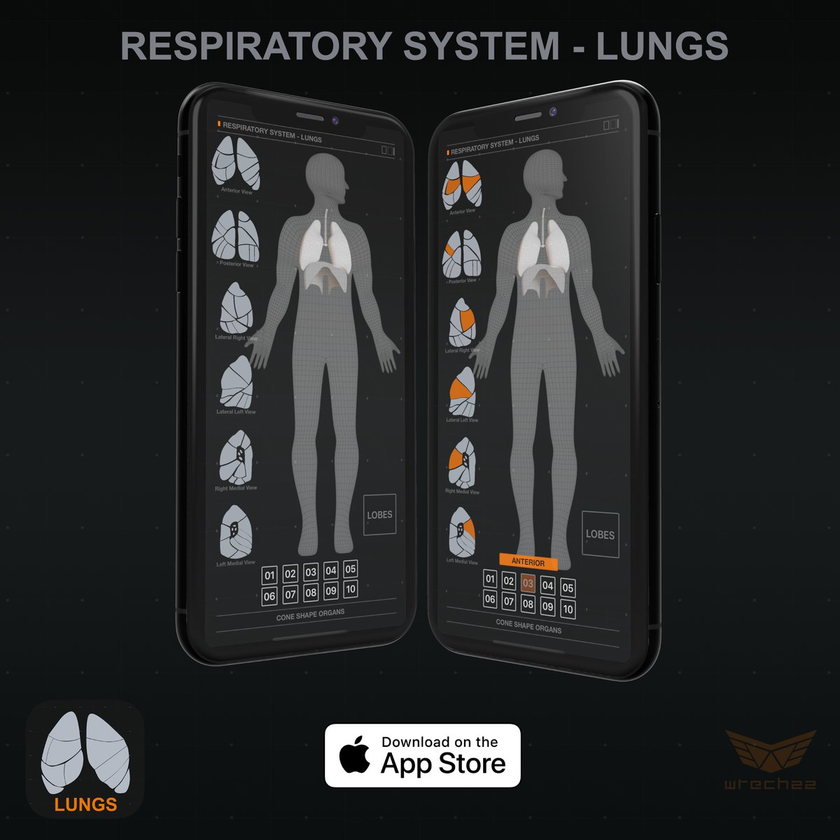 wtech22's tweet image. Lungs - respiratory anatomy, reference app
#healthcare #nurselife #Nursing #HealthTech #medicalschool #MedicalTwitter 

apps.apple.com/us/app/lungs-r…