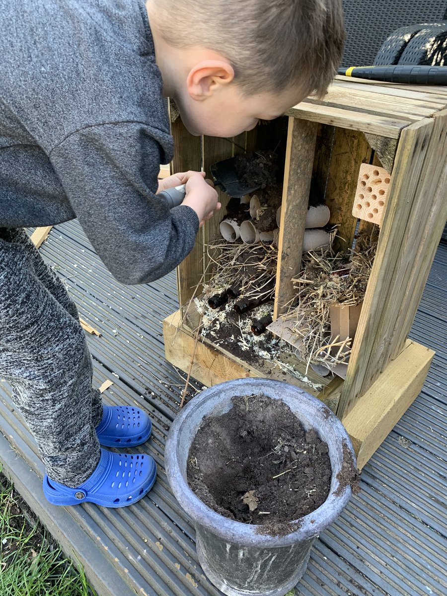 kate_storey's tweet photo. A couple of weeks ago we made a bug hotel... today we checked and we have some guests! @coxheathprimary #homelearning #minibeasts #bughotel #learningourenvironment https://t.co/dfCAVGsjRL
