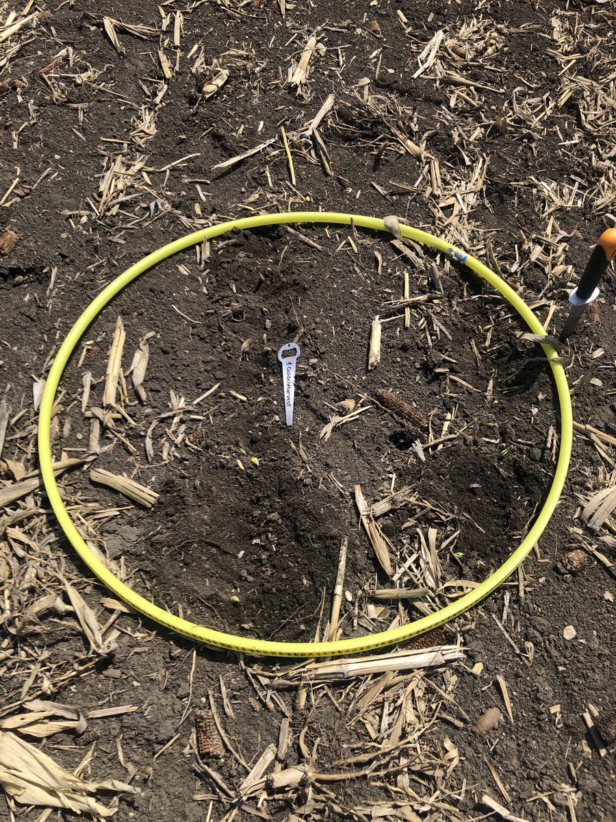 Southern MN GH Team tweet media