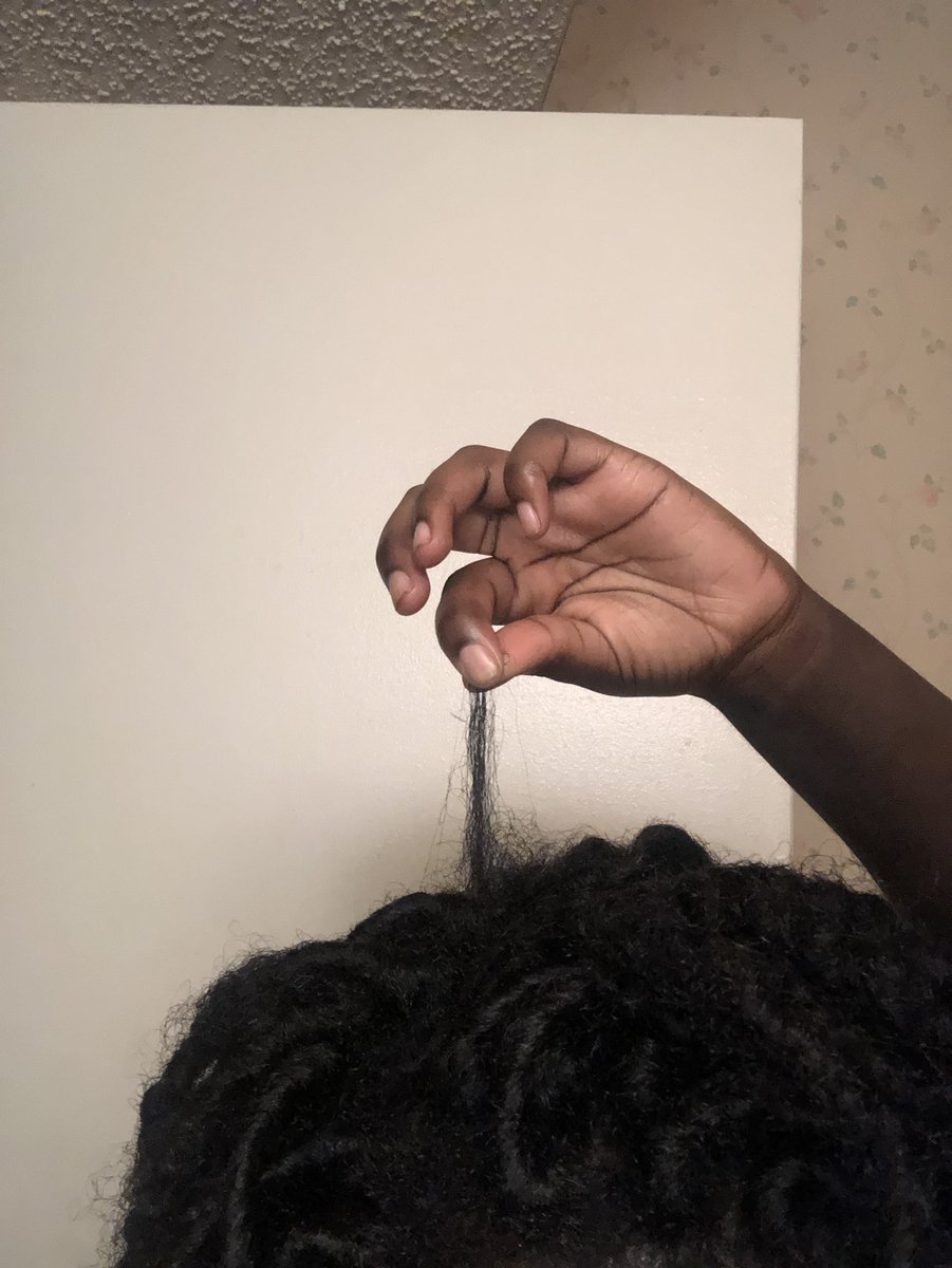 An update on the piece of hair I accidentally cut off (the rest of the short hair I twisted into my locs but this piece won’t stay)