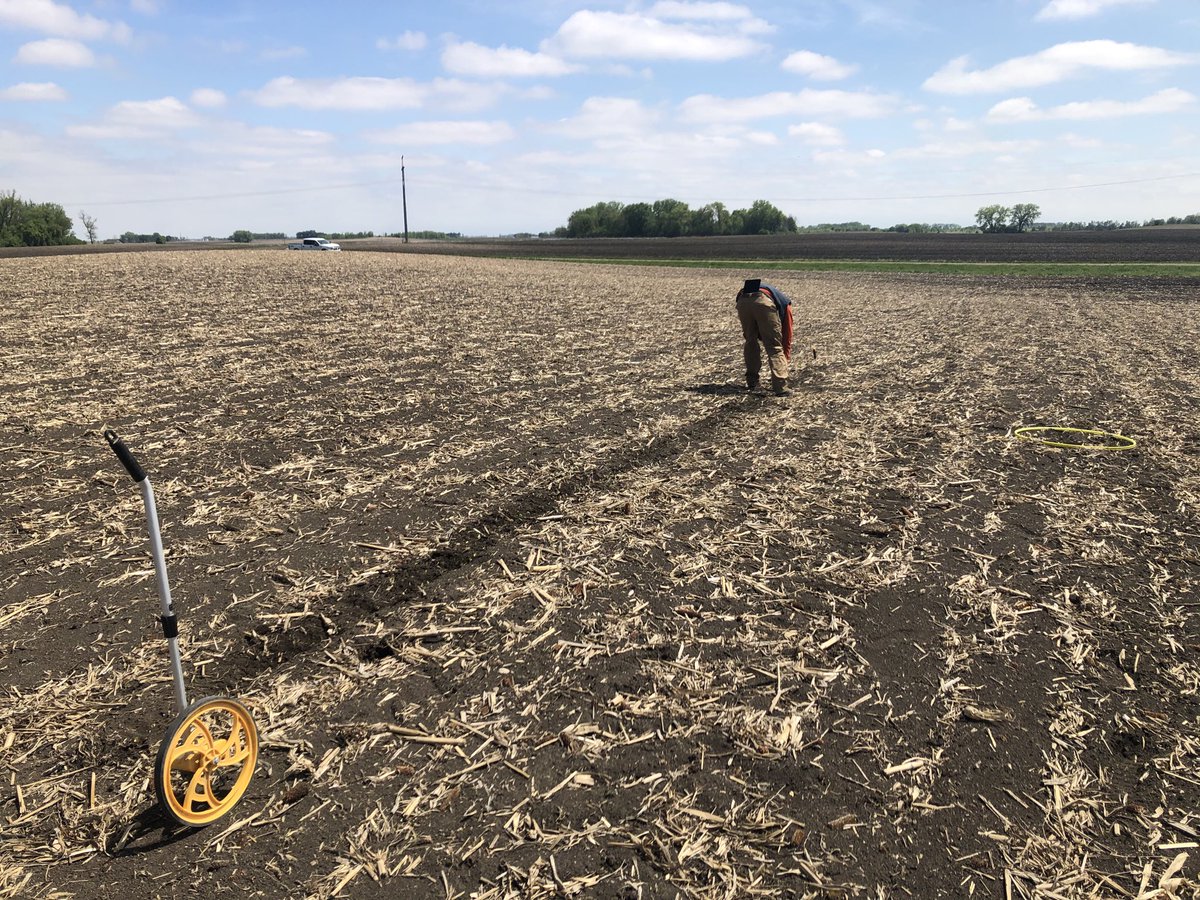 Southern MN GH Team tweet media