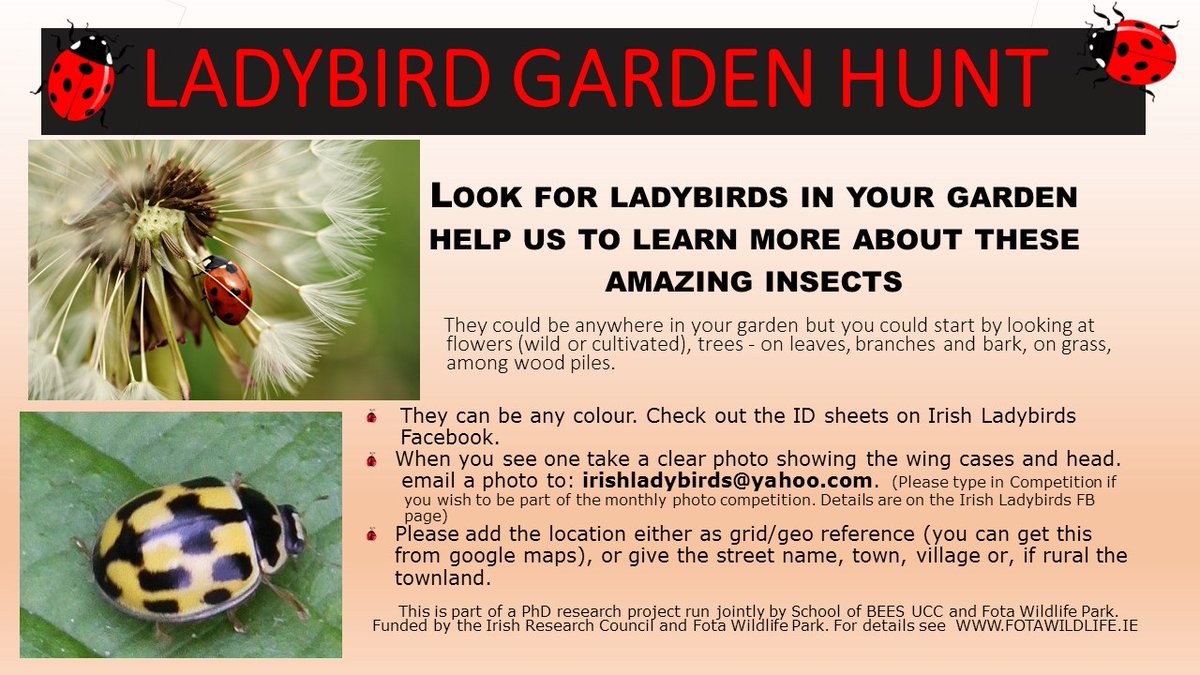 Great opportunity to enter a competition and learn more about ladybirds <a href="/fotawildlife/">Fota Wildlife Park</a> <a href="/irishexaminer/">Irish Examiner</a> <a href="/IrishTimes/">The Irish Times</a> <a href="/UCC/">UCC Ireland</a> @uccBEES <a href="/HeritageHubIRE/">The Heritage Council</a> @irishgarden @PeterDowdall