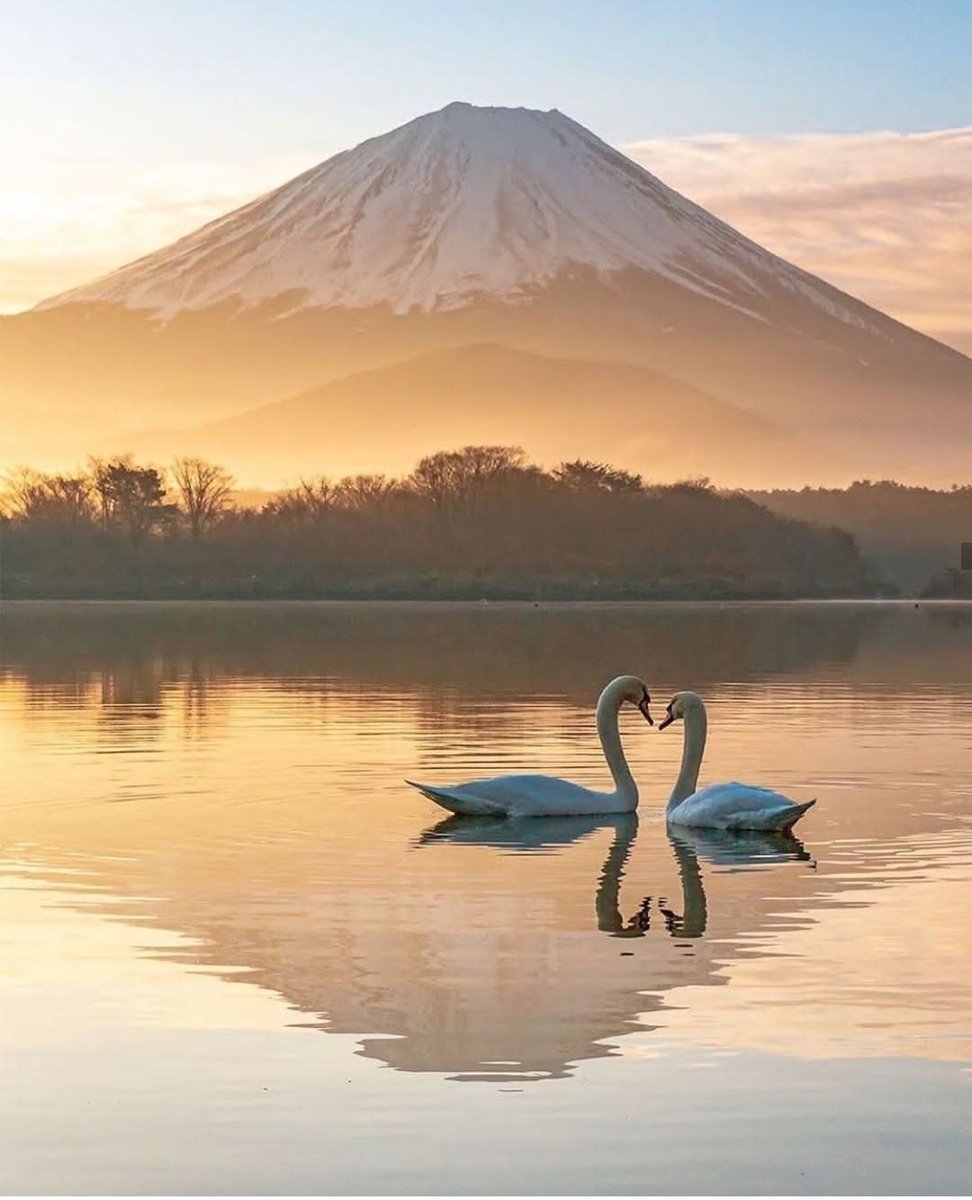 squareofin's tweet photo. Love Nature.😍 Save Nature.😍
.
.
 #nature  #savenature  #lovenature  #saveourplanet🌍#saveourplanet  #planetearth🌎 #planetearth  #saveearth #views😍 #photography #landscapephotography #landscape #naturephotography #travelphotography  #scenery #wildlifephotography #wildlife https://t.co/LJllfahPBK