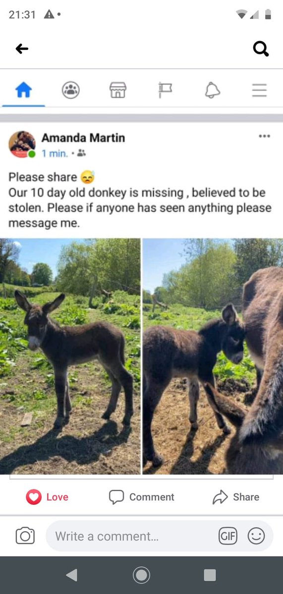Folks, our neighbours baby donkey has been taken from a field on the Rathfriland Road this afternoon. If you hear or see of a baby donkey for sale or given to anyone please contact us. Neighbours child is breaking his heart about it. Thanks