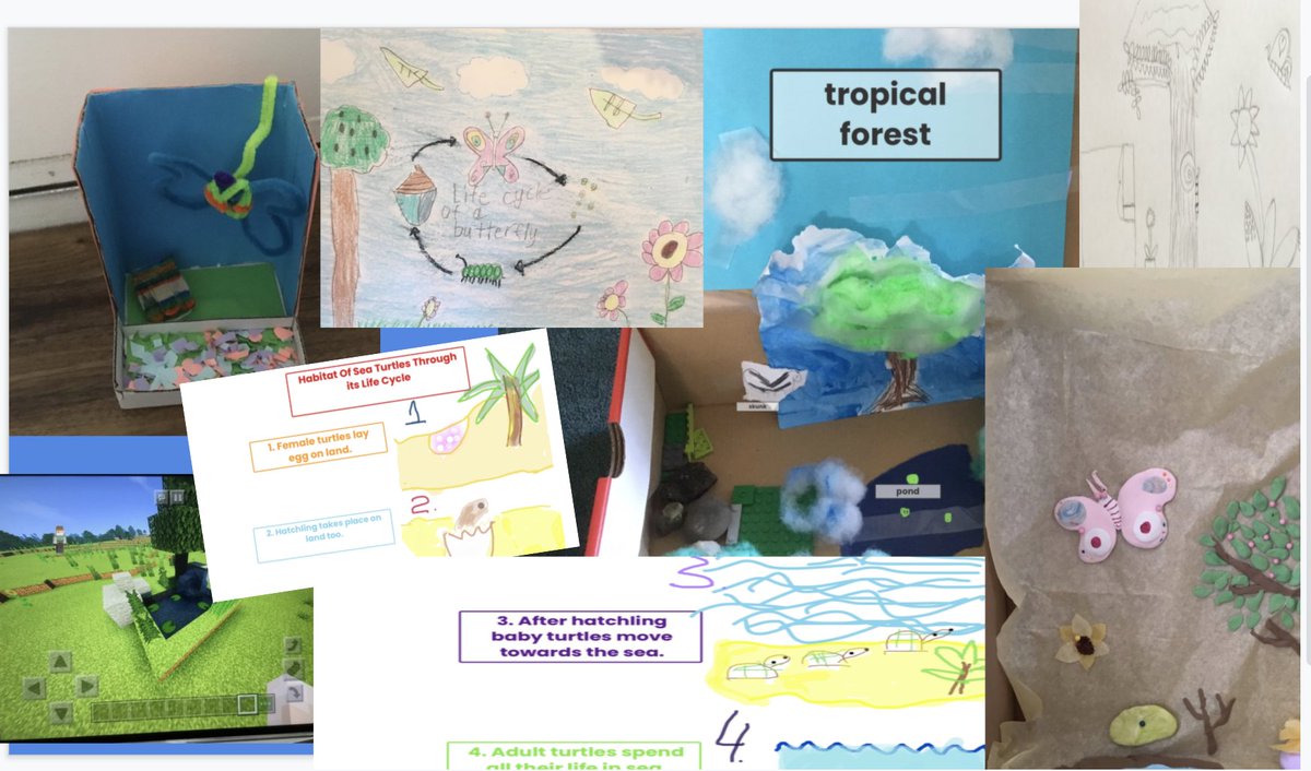 sbsdCCSTREAM's tweet image. Even in distance our #ccsbsd 3rd grade students&apos; creativity &amp;amp; knowledge shines through! #CAngss #sbsdedu #sbsdstream. Shout out to @NealTaunt &amp;amp; the entire dream stream team.