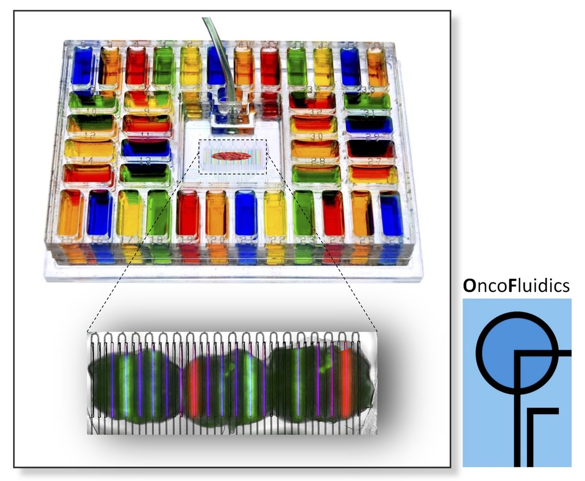 Folch Lab tweet media