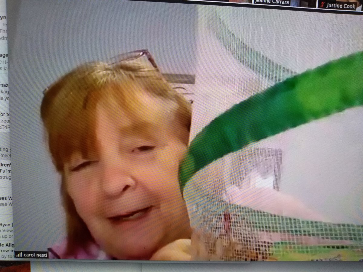 MrsBardensClass's tweet photo. @MrsNestiK1 has butterflies!!! And more Caterpillar Challenges! https://t.co/gDOnoGJxq3