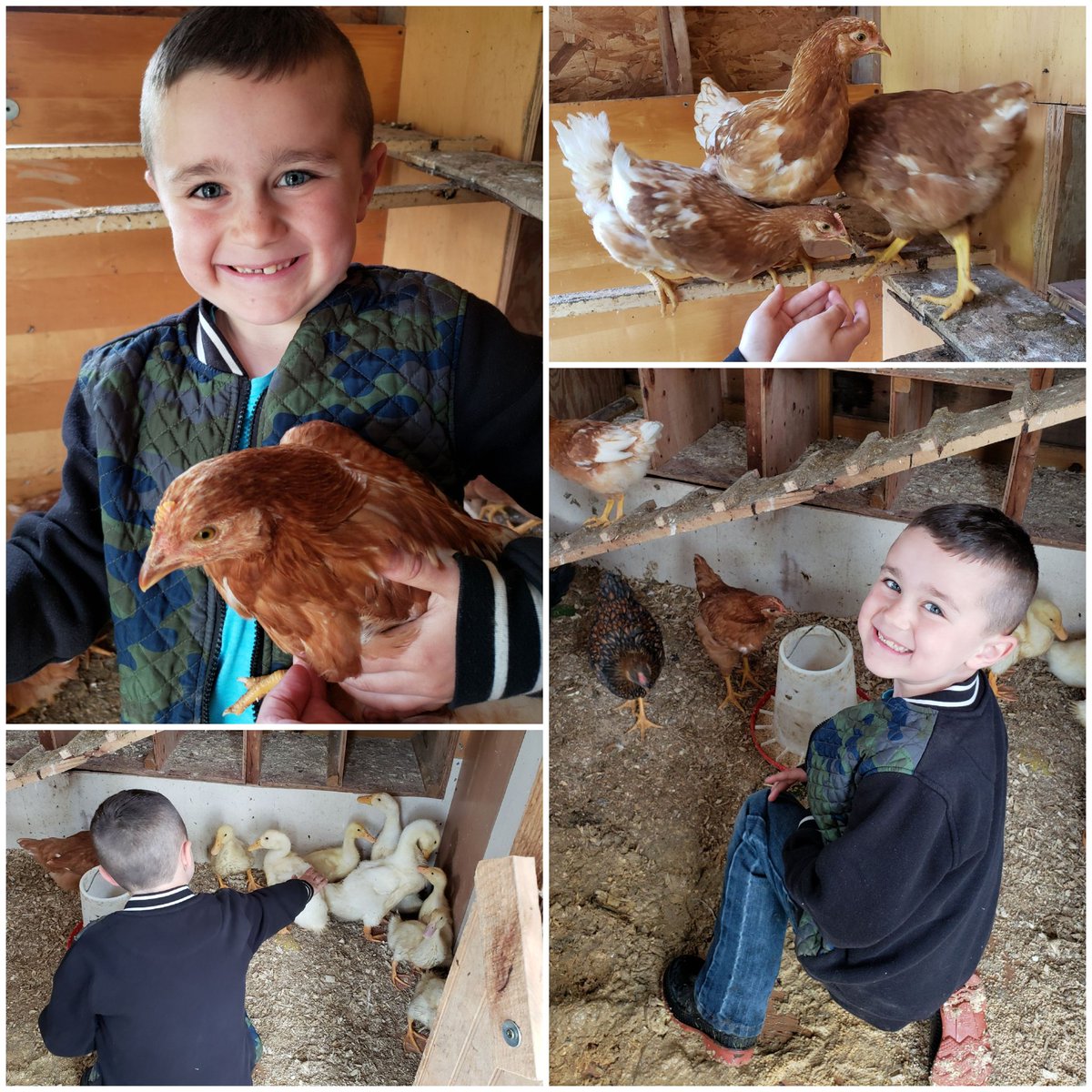 Carrie Hynd tweet media