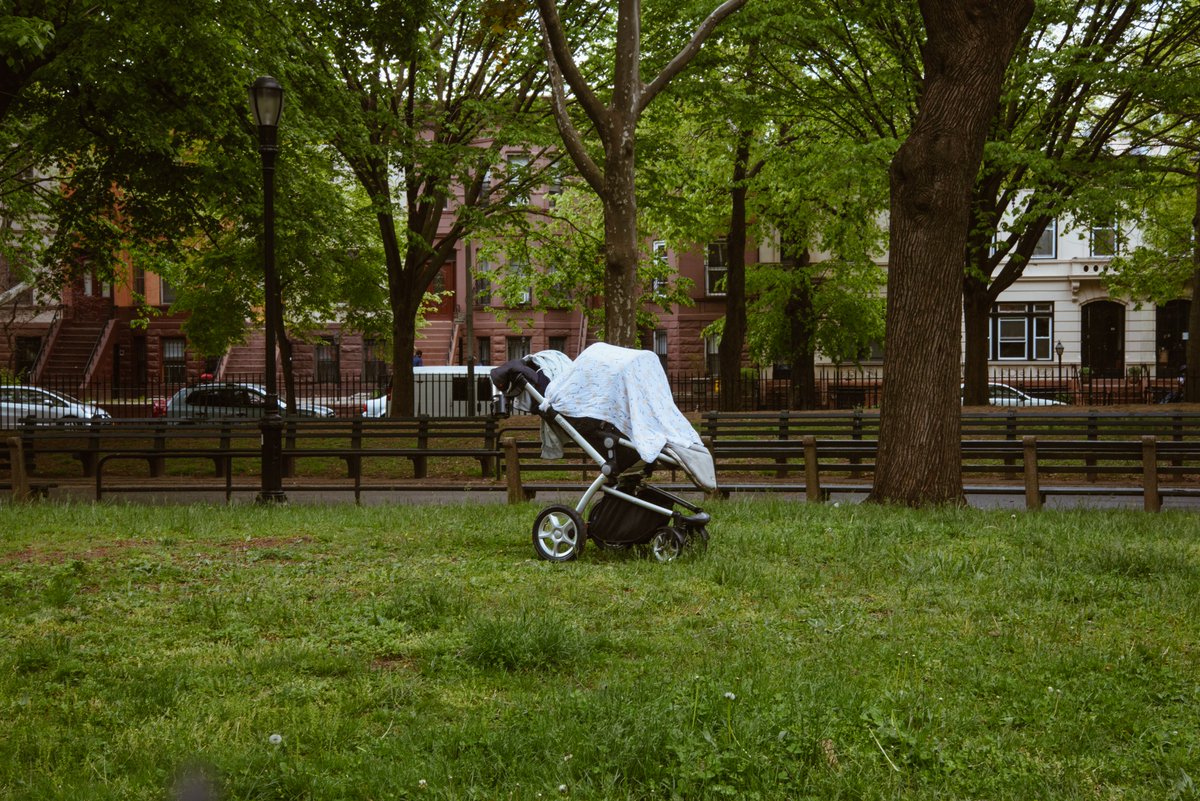 Someone left their stroller in Fulton Park, I thought there was squirrels in there to be honest with you.