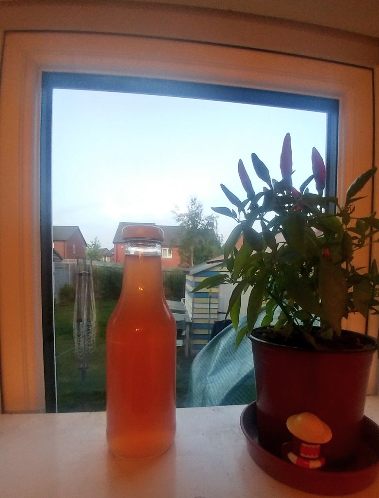 And I whipped up another Cordial - This one Im calling Summer Garden (or Apple, Elderflower, Strawberry and Rhubarb 😂) it taste like a fresh dose of a country garden in a bottle!