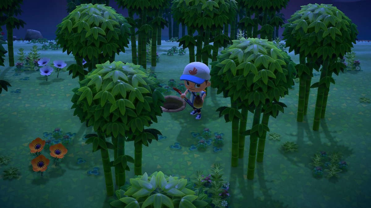hexleycrossing's tweet photo. #AnimalCrossing #ACNH #NintendoSwitch https://t.co/Tm9YvNcfXS