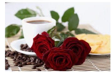 ElbaBallate's tweet photo. @DailynLaDeZona @Alenamf19 @estevez_damiana @MarinaRiveraQu1 @OsmelMY @roberto692000 @Reylope13 @ReneCha20339375 @AngelCubaXCuba Te seguí musa, fui tu primera seguidora, sabes.....al pajarito no le gusta la poesía, ni el amor, ni la verdad, ni la Patria, ni el Amor.....Aqui seguimos, aquí estamos👏🇨🇺🌹❤🌴. #Cuba https://t.co/4nAxutFuu7