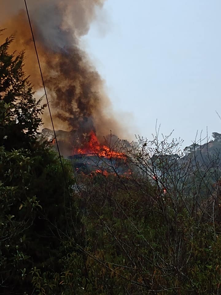 ZonaCNoticias's tweet photo. #AlMomento

Reportan vecinos del poblado de Santo Domingo Ocotitlán del municipio de Tepoztlán que el incendio forestal que se registra en ese poblado está avanzando muy rápido, piden apoyo ya que se encuentran casas cerca del siniestro

Fotos: Rosario González Flores https://t.co/jtPOe9RaYF