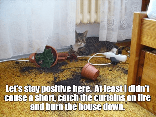 It's finally our time to cause destruction again... Have fun back at work parents.