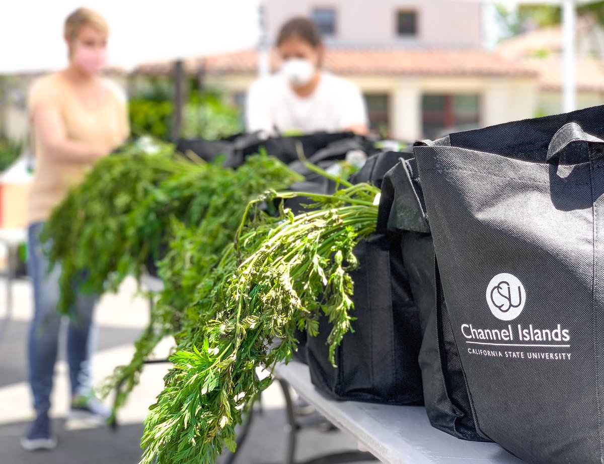 JJacobJenkins's tweet photo. Pop-Up #Dolphin #FoodPantry!

Proud to be part of a #university like @CSUCI that’s doing so much to help its #students, #staff, &amp; #community.

#CSU #CSUCI #CalState #CalFresh #BasicNeeds #CSUBasicNeeds #RealCollege #RealCollegeCalifornia #CaliforniaForAll #SleepForDinner https://t.co/Ixwg0tCVLr