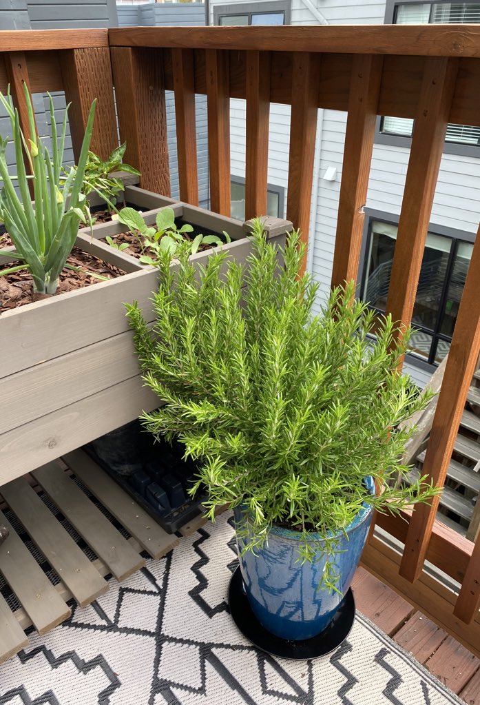 Natbat (Bluesky/Instagram: @natbat) tweet media