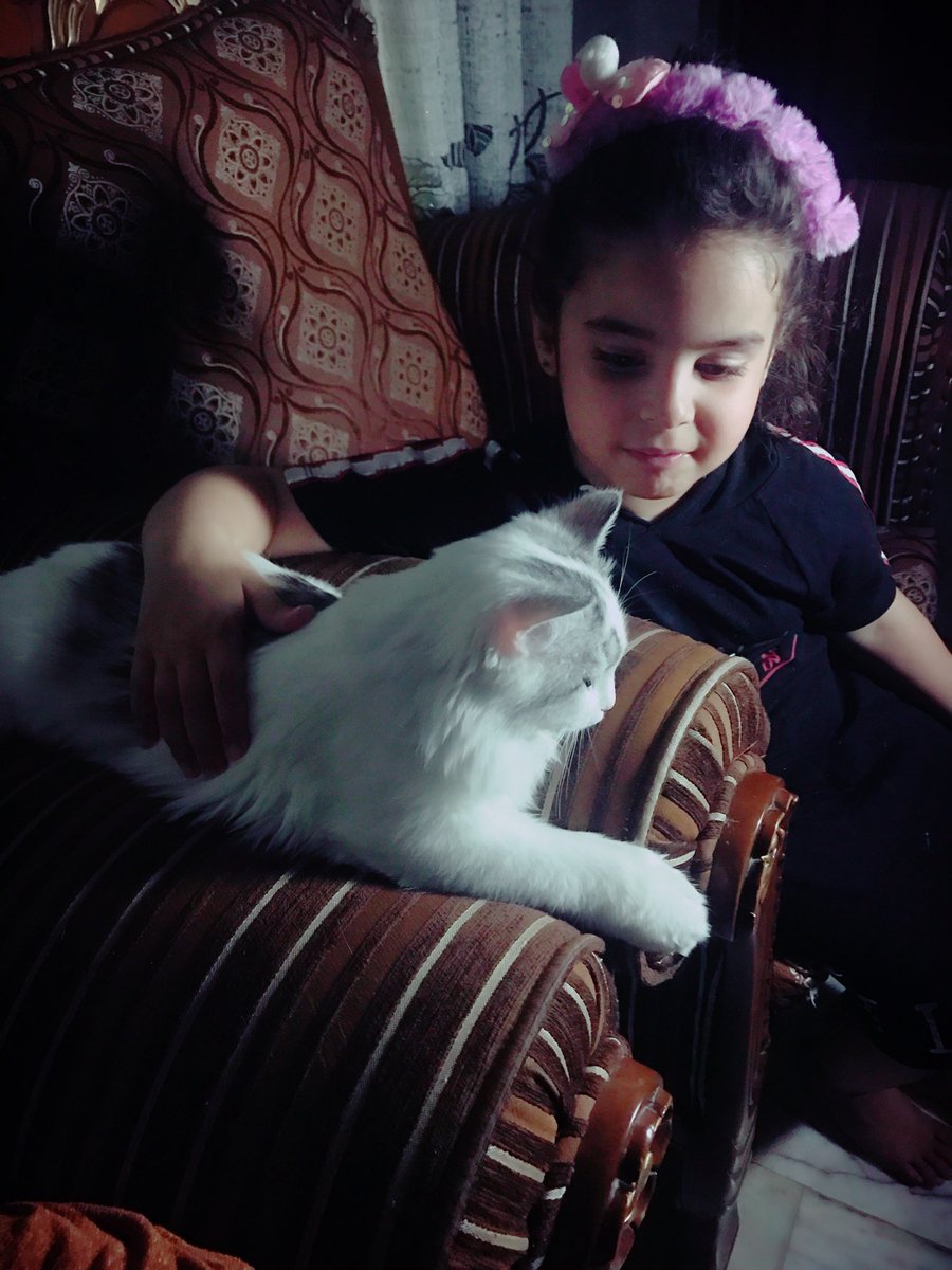 the Queen (@thequee63686668) on Twitter photo 