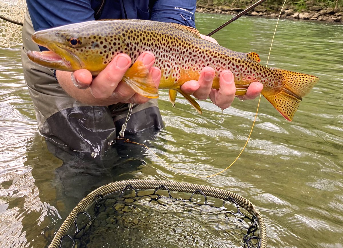 KeystoneFlyFish's tweet image. Happy to get some friends on fish this weekend. How can I help you find a new adventure this season?
