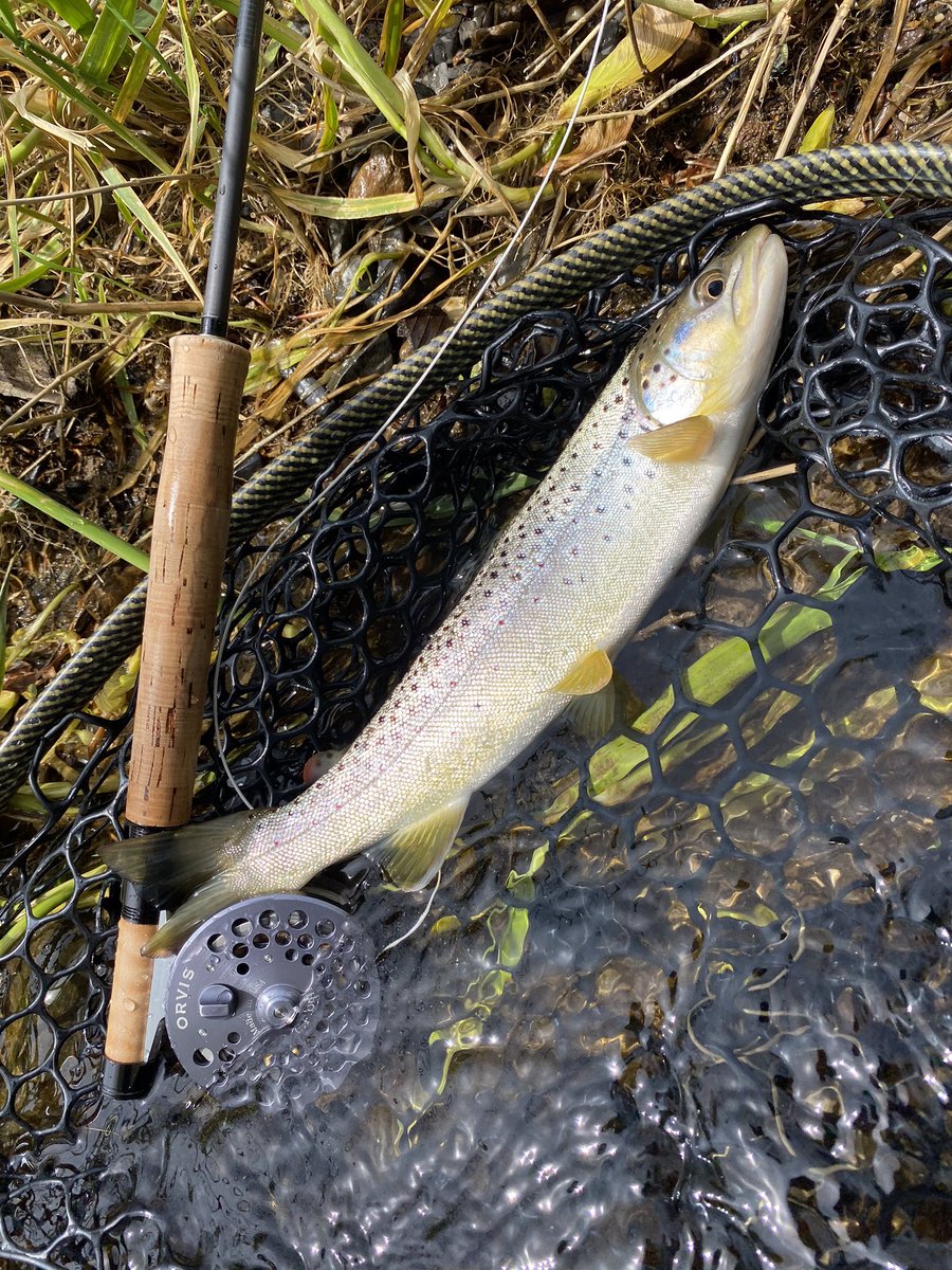 KeystoneFlyFish's tweet image. Happy to get some friends on fish this weekend. How can I help you find a new adventure this season?
