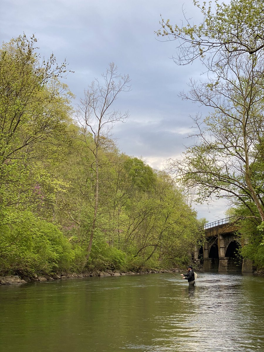 KeystoneFlyFish's tweet image. Happy to get some friends on fish this weekend. How can I help you find a new adventure this season?