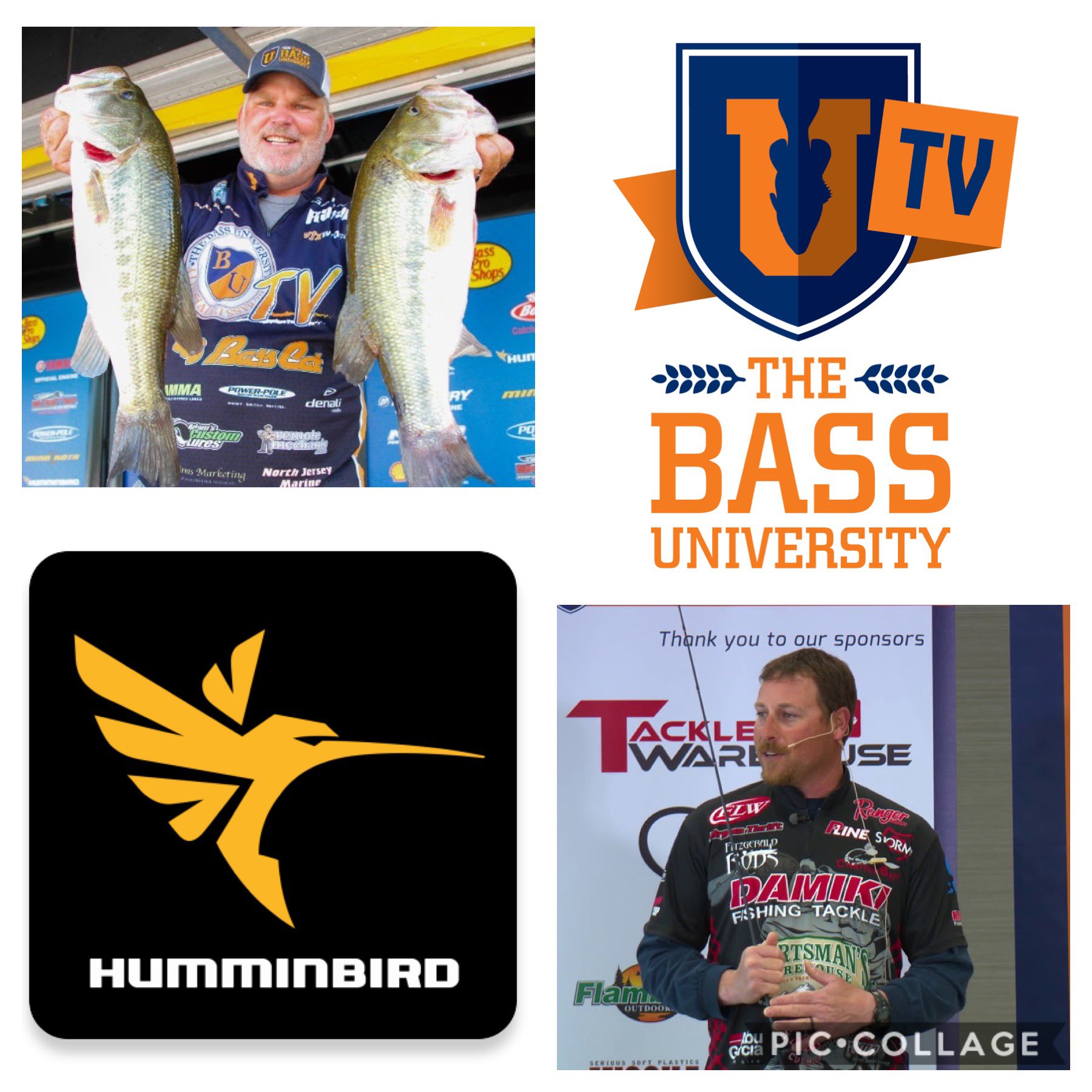 bass university