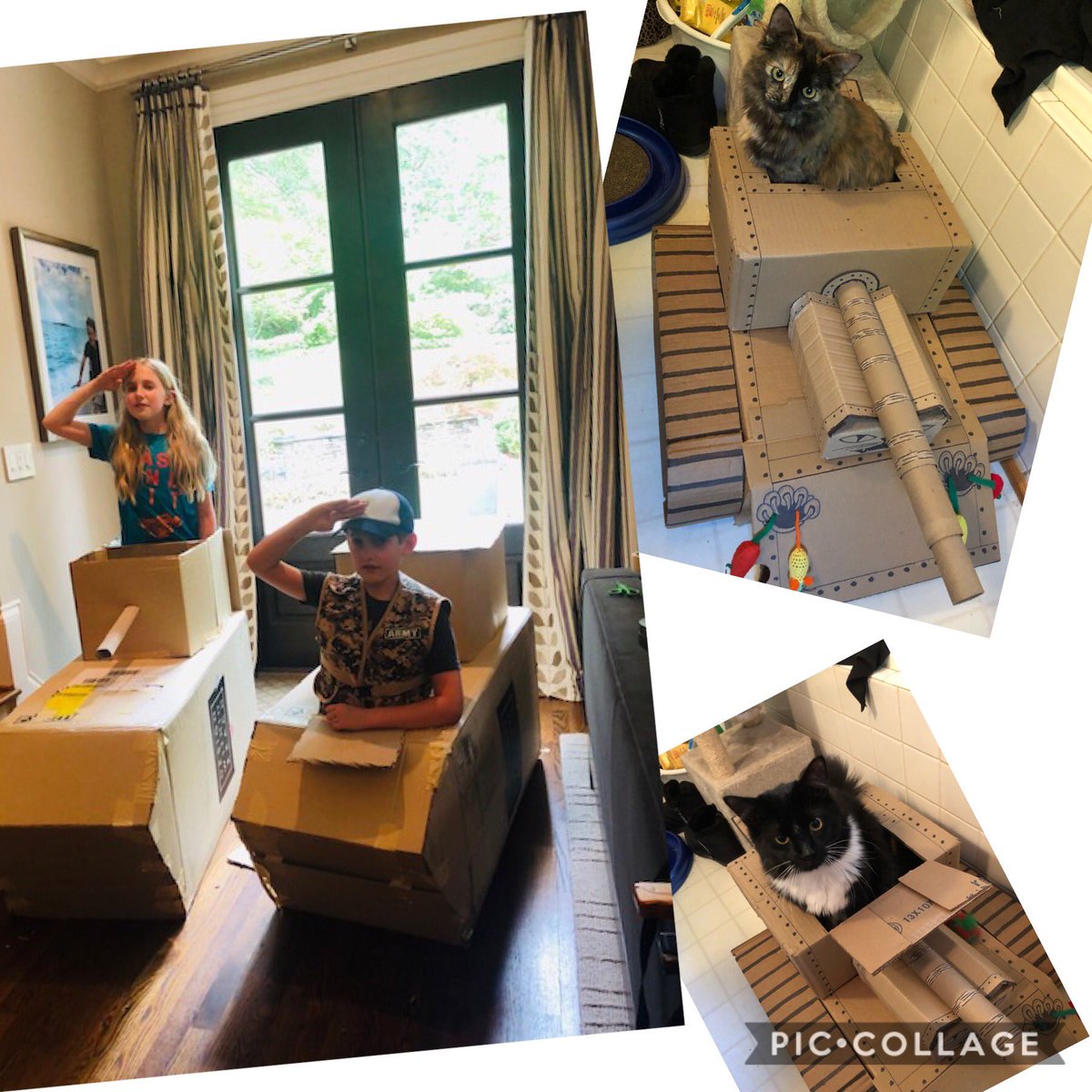I gave my students a “Pet Tank Challenge” and they made tanks for themselves! That’ brother and sister teamwork! (Mr. Tux and Zoe love the tank I made for them!) #trinitylearns ⁦<a href="/auntpatville/">Pat Kerner</a>⁩