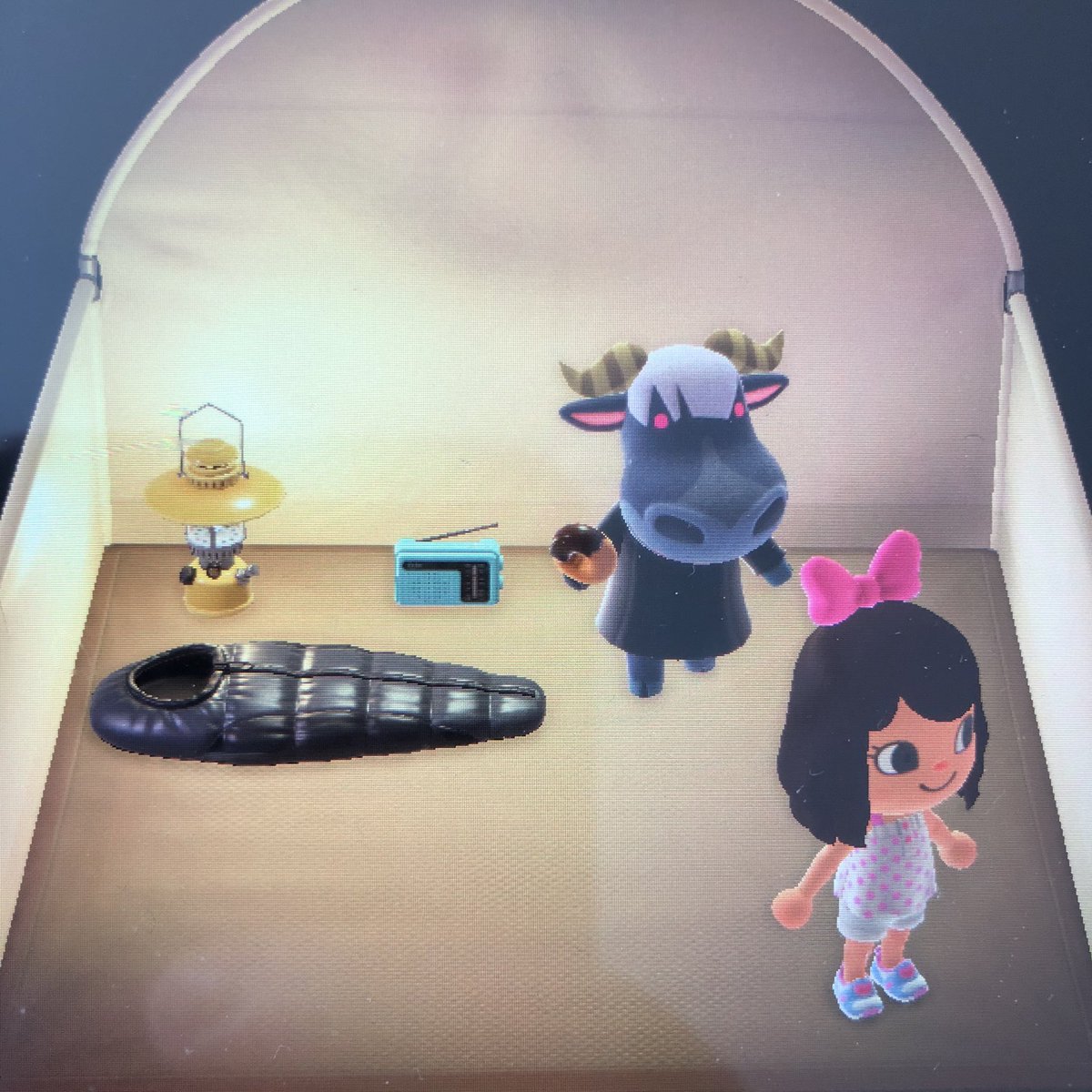 _JacquelynPasq_'s tweet image. Rodeo up for grabs on my island. #AnimalCrossingNewHorizion #ACNH #animalcrossingdodocode #AnimalCrossingvillagers