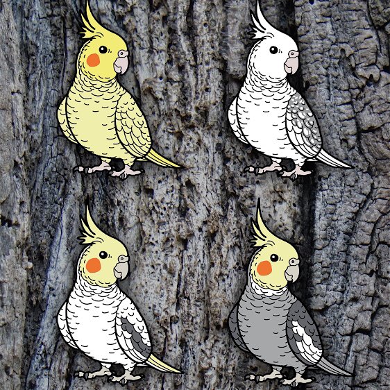 hyper_finch's tweet photo. Tiel pin drop coming Soon! โจ๐. Watch this space.. leave a ๐ if you have a cockatiel!
.
Stickers and magnets available at https://t.co/pE2syrONOY | Link in bio โจ
.
.
.
#cockatiels #tiels #birds #bird #cutebird #birdpins #birdthings #birdlovers https://t.co/r1mtHLyaVw