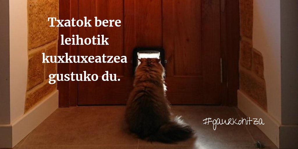 maitegoni_'s tweet photo. #gaurkohitza "kuxkuxeatu" da, #txato.ri eskainia:
"Txatok bere leihotik kuxkuxeatzea gustuko du."
πcc @estenibar https://t.co/4uUai8eMtP