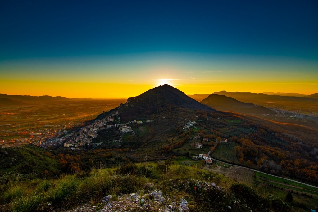 Wildfox Retrogames tweet media