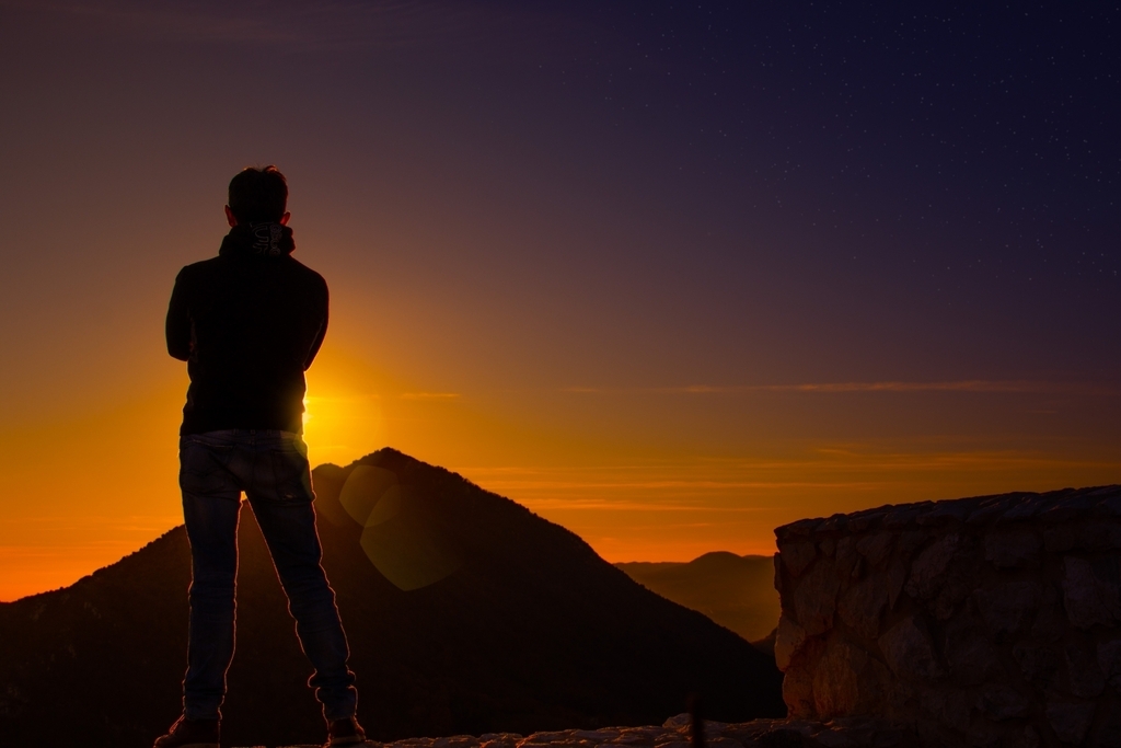 Wildfox Retrogames tweet media