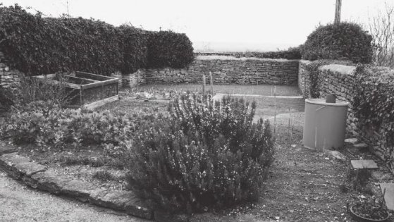 Templecombe of course was a Templar estate so I have to wade through garbage. And there isn't much, even if Time Team had a crack at it.Preceptories are usually just boring property offices so whatever. It was at Manor Farm, the walls of the chapel are its vegetable garden