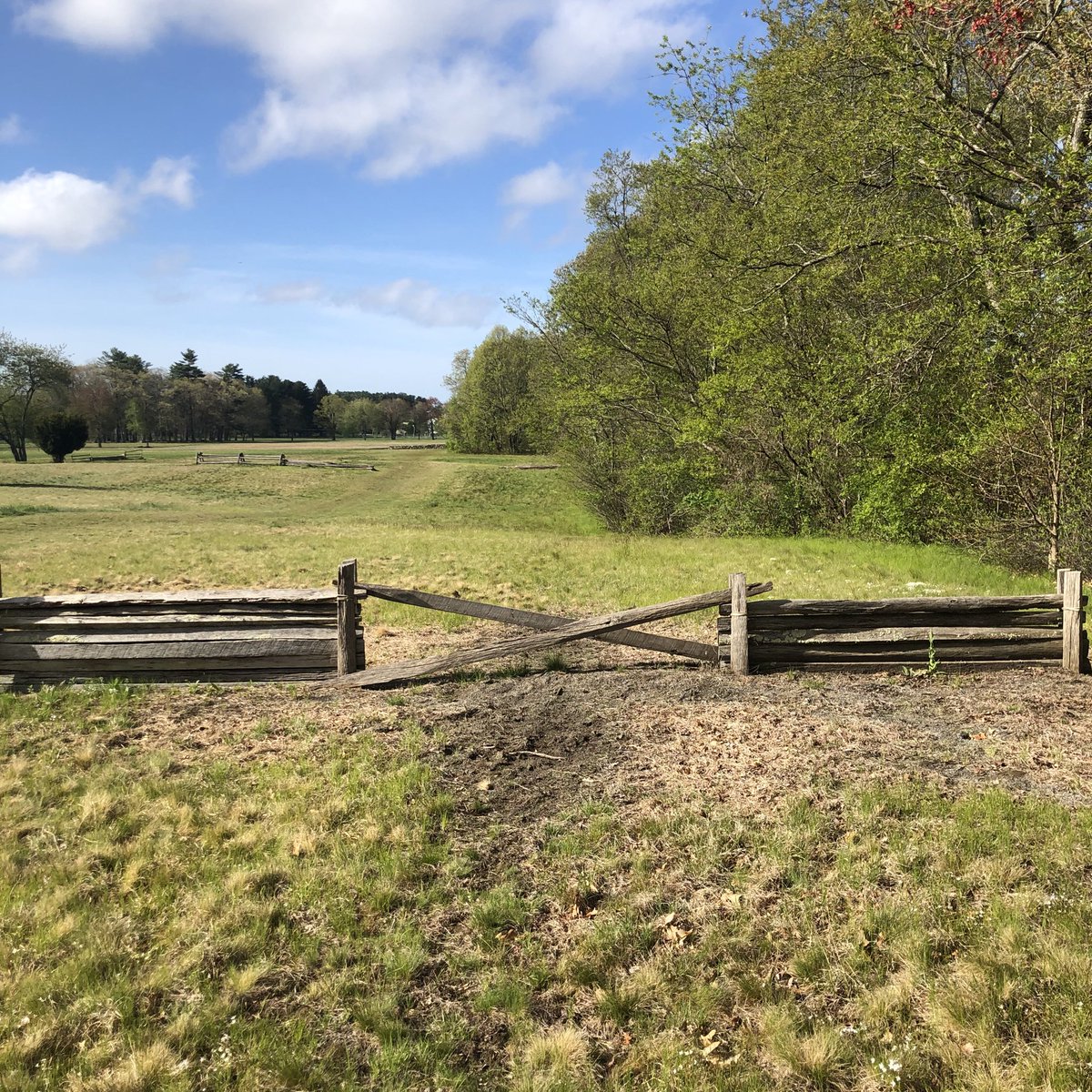 Ronald C. Pruett, Jr. tweet media