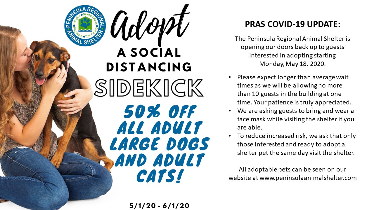 newport jeans official website