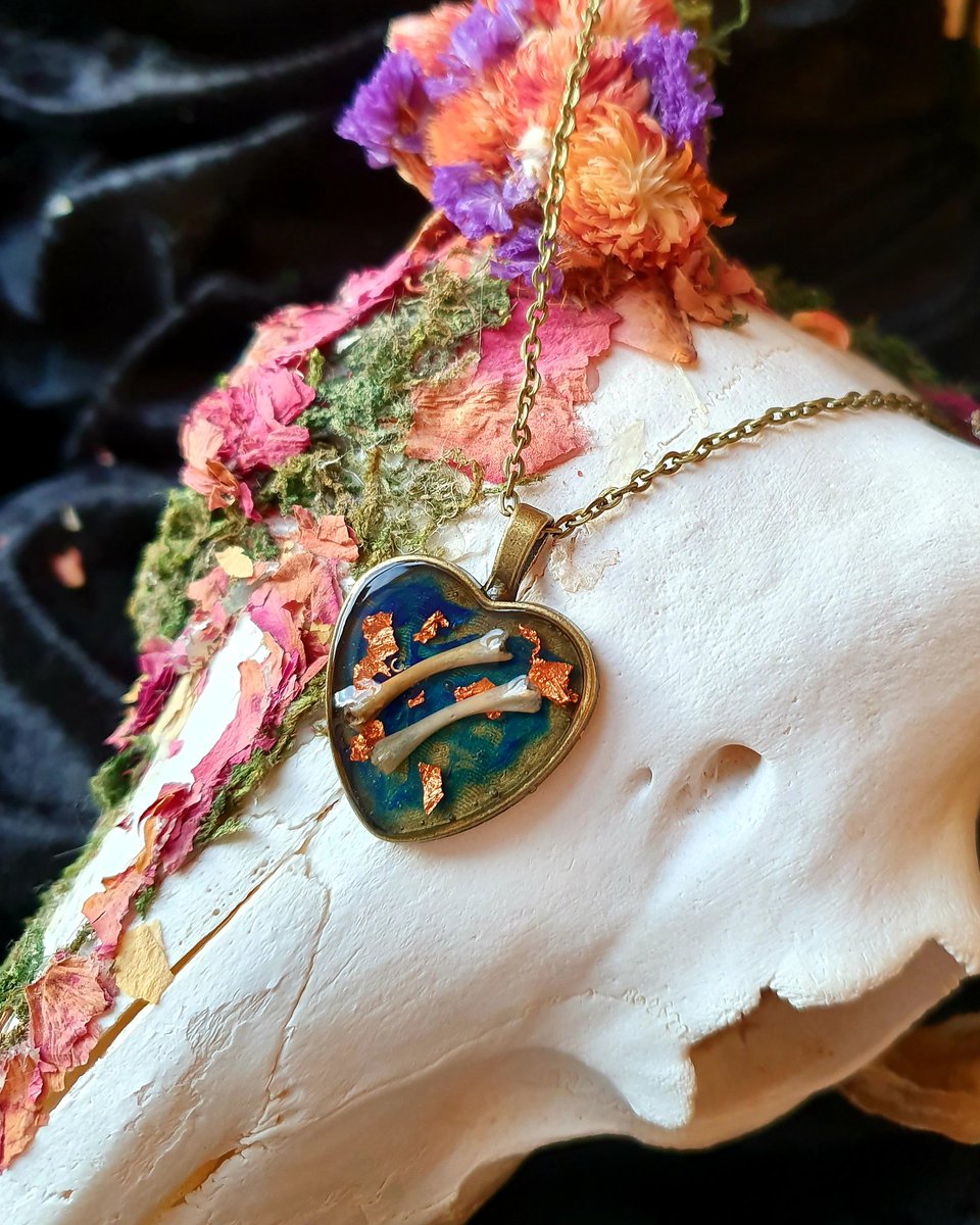 See our beautiful range of taxidery and entemology curiosities and oddities. 

#taxidermy #witch #gothic #tattoo #entemology #Bones #nature #gifts #giftshop #witchcraft #BUTTERFLY #bugs #tattooart